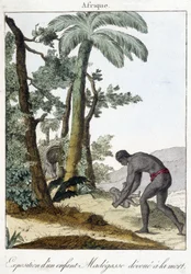A halálnak szentelt Madegasse-gyermek kiállítása. 1811