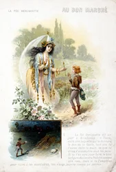 Tündér Berliquette.