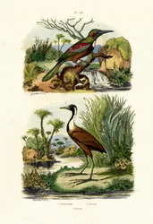 Nagy Jakamar, 1833-39