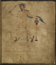 Harley 647, f.4 Perseus, a görög mitológia hősének illusztrációja a kígyószőrű Medúza fejével, szöveggel vagy scoliával a csillagkép alakjában, „Aratus”-tól, Marcus Tullius Cicero (vellum)