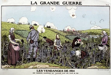 1914-es betakarítás