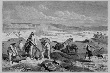 Guanakó (vad láma) és nandou (vagy patagóniai strucc) vadászata Argentínában – a Tour du Monde-ban, 1861 2. hete