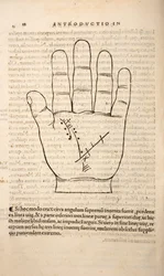 Illusztráció a Chiromantiából, Joannes Indagioe, Strasbourg, 1531 (nyomtatás és metszet)