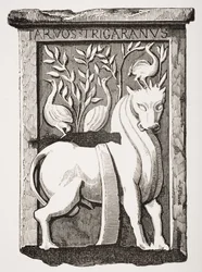 A párizsi Notre Dame-székesegyház kórusa alatt 1711-ben talált kelta Szent Ökör emlékmű képe Paul Lacroix (1806-84) Le Moyen Age et La Renaissance című művéből, 1847-ben.