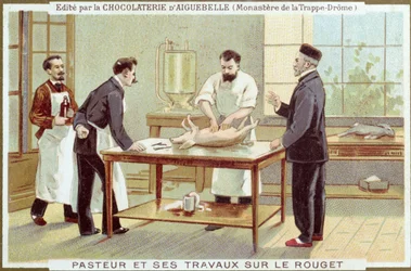 Louis Pasteur (1822-95) a kanyaró kivizsgálásán dolgozik, a Chocolaterie dAiguebelle reklámkártyája