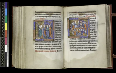 MS 300 f.207v-208r, Választójog a szüzeknek és választójog mindenszenteknek, a francia Izabella zsoltárából és óráiból, Párizs, 1265-70 körül (toll, tinta és tempera pergamenen)
