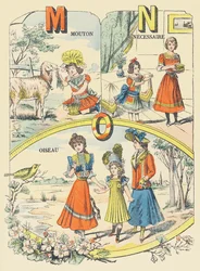 M N O: birka, szükségszerű, madár