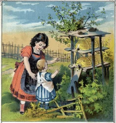 Martha megmutatja kishúgának a méhek munkáját a kaptárban. Kromolitográfia a „” Scenes enfantines””” kiadásból, szerk. Guerin - Muller 1885 körül.