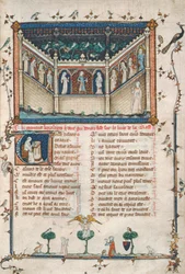 Ms 101 fol.5 A rózsa románca
