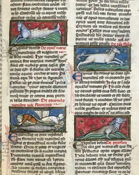 Ms 320 Fol.115r Sea Monsters, Thomas van Cantimpre (1201-72) „De Natura rerum” című művéből (vellum)
