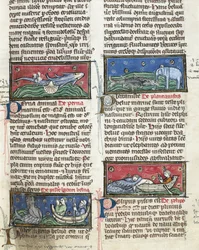 Ms 320 Fol.116 Sea Monsters, Thomas van Cantimpre (1201-72) „The Nature of Things” című művéből (vellumon)