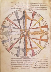 Ms 422 fol.6v Az évszakok és hónapok kereke, a De Natura Rerumból, Sevillai Szent Izidortól