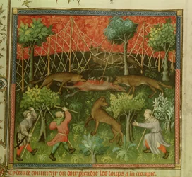 Ms Fr 616 fol.111 Farkasvadászat hálók segítségével, a Livre de la Chasse-ból, Gaston Phebus de Foix (1331-91)