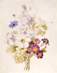 Nárcisz és más virágok, 1840 (wc papíron)
