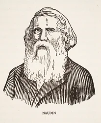 Élvezd