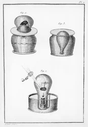 Tudományos kísérletek, illusztráció az Observations on Physics, Natural History and the Arts című könyvéből, amelyet Mgr. Artois grófja, 1789. augusztus