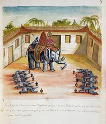 Sziám királya az elefántján, a sziámi jezsuiták beszámolójából, 1688 (wc papíron)
