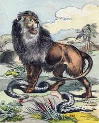 Az oroszlán. Metszet „Buffon Alphabet des Animaux". 3. sorozat N 1. Epinal képalkotása, Epinal, 19. század vége. 16 oldal. Mérete: 28x21 cm