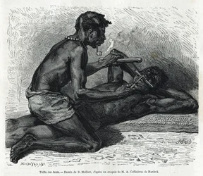 A fogak mérete az Okandában, D. Maillard rajza, Alfred Marche 1875-1877-es gaboni utazásának és az Ogoue folyónak a történetének illusztrálására. Gravírozás a Le tour du monde-ban