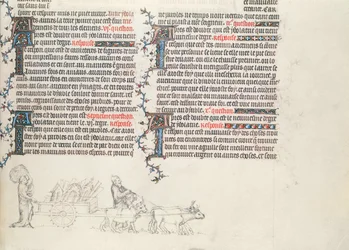 Dolgok szállítása ökör vontatta kocsin, befejezetlen miniatűr Jean de Sy Bibliájából, 1355 körül