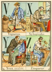 V X Y Z: Borász, Xylographer, Eyes (oculist), Zingueur