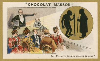 Igen, az ember egy majom leszármazottja