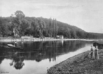 Cliefden Woods, 1896