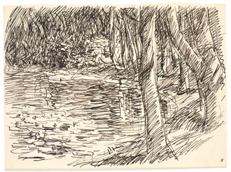 Erdei tó
