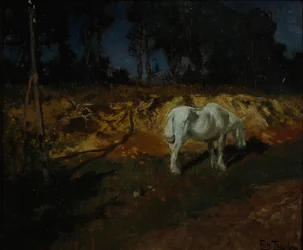 A doktor lova (olaj, vászon)