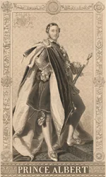 "Albert herceg", 1886