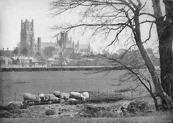 Ely-székesegyház, 1896