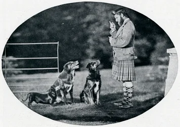 Mr. Francis Clark, The Queens Gillie, három kedvenc kutyájával, c1899, 1901