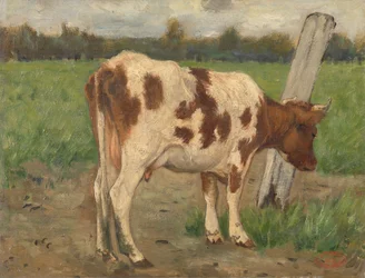 Tehén