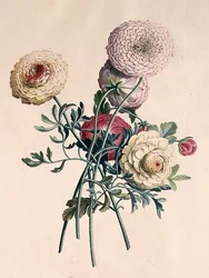 Asztrik