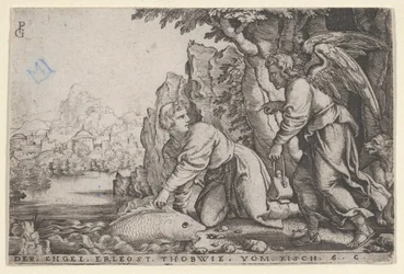 Tobiolus elkapja a halat, A Tóbiás története, 1543-ból.