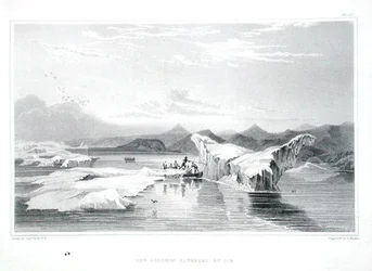A jég által szorongatott delfin, Sir John Franklin (1786-1847) "Narrative of a Journey to the Shores of the Polar Sea in the Years 1819-22" című művéből, melyet Edward Finden (1791-1857) metszett, megjelent 1823-28-ban (színes metszet).