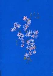 Nefelejcs, 1960-as évek (gouache színes kártyán)