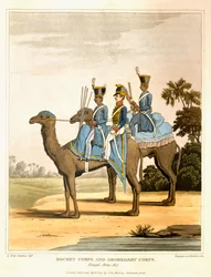 Rakétahadtest és Dromedár Hadtest, Bengáli Hadsereg, 1817, „Journal of a Route Across India and Through Egypt”, vésette R. Havell és fia, pub. Írta: John Murray, 1819