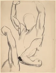 Boxer karjai
