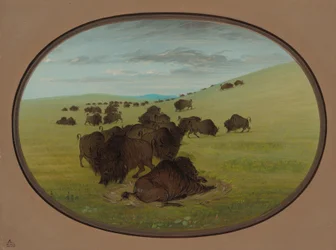 Bivalyfafa, 18611869.