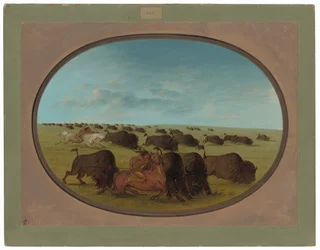Buffalo Chase, balesetekkel