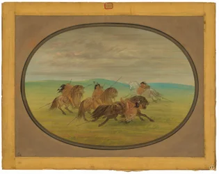 Comanche lovaglás