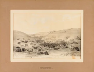 Indiánok Buffalo körül - 9. sz.