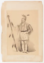 Joc-o-sot, a sétáló medve