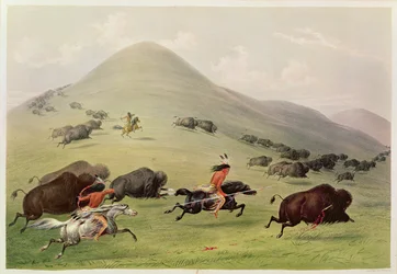 A bivalyvadászat, 1832 körül
