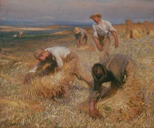 Kötőtárcsák