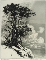 Monterey partja, Kalifornia