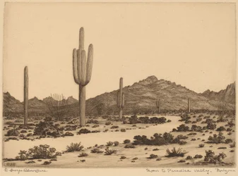 Út a Paradise Valley-be, Arizonába