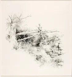Cím nélkül (Woodland Stream)