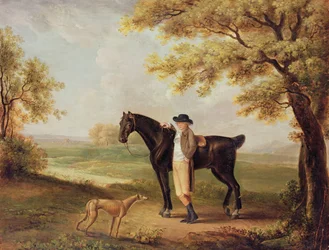 Ló, lovas és whippet